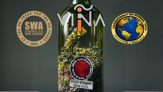Viña i: Excelencia en Vinos Chilenos Premiados